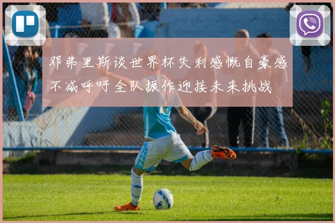 邓弗里斯谈世界杯失利感慨自豪感不减呼吁全队振作迎接未来挑战